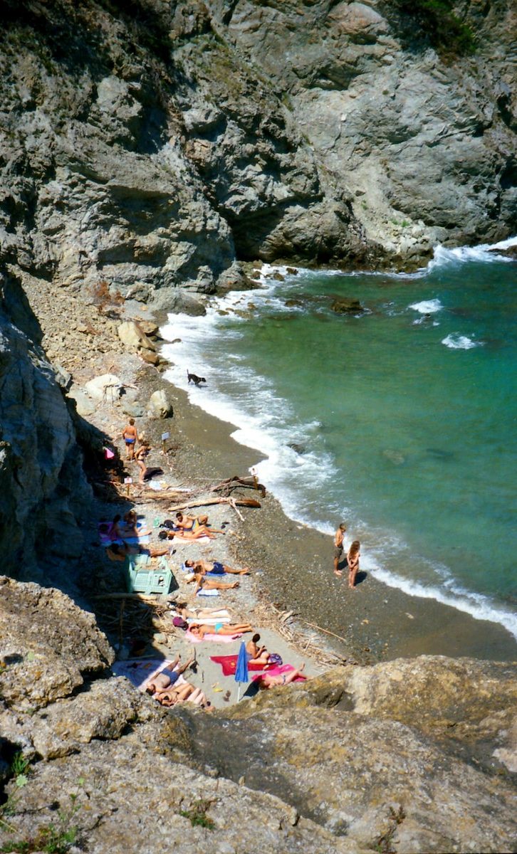 people on beach during daytime